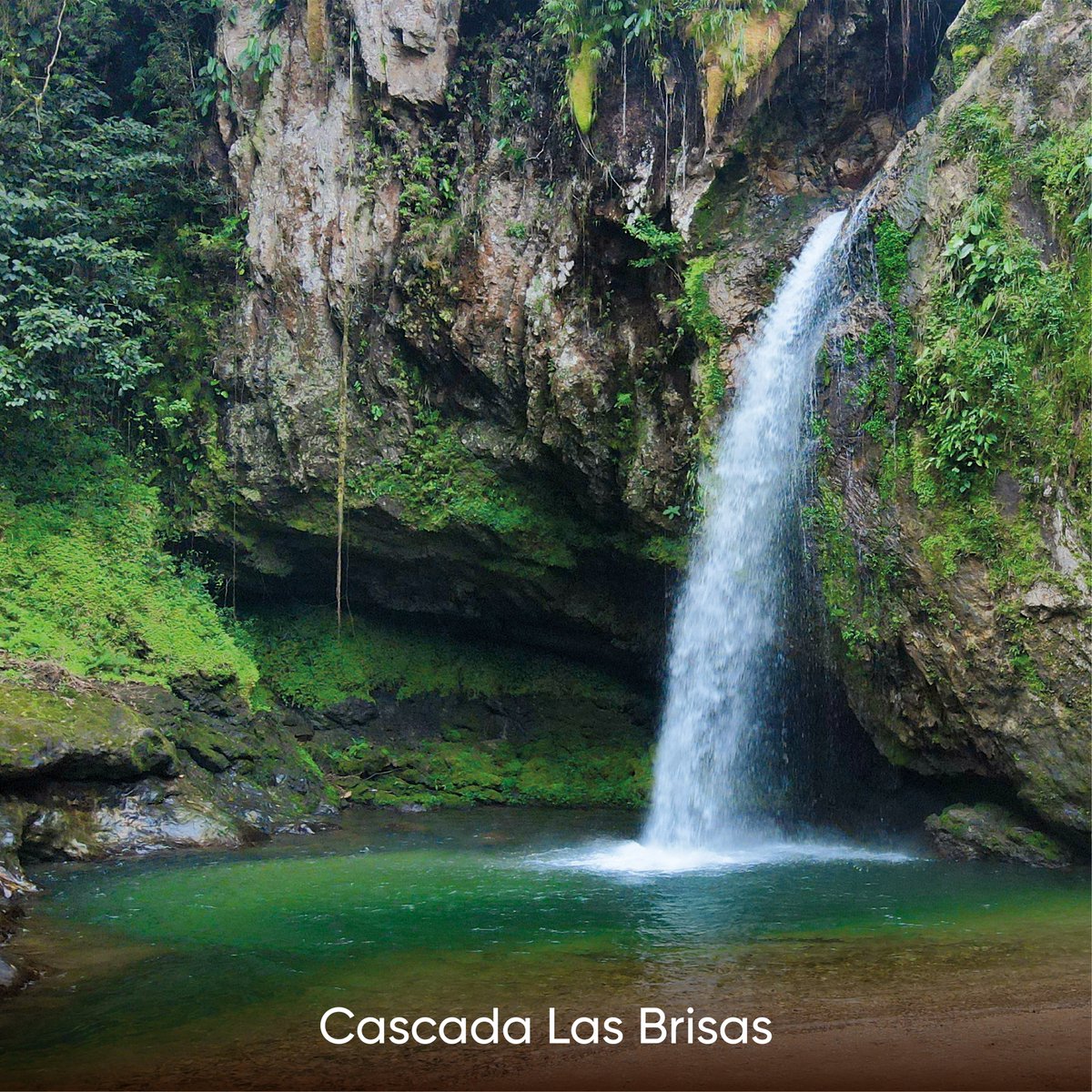 #Cuetzalan abraza la esencia de la Sierra: calles empedradas, aroma a café y tradiciones que hacen de Puebla, #ElLatidoDeMéxico.

El <a href="/Gob_Puebla/">Gobierno de Puebla</a> te invita a recorrer destinos que mantienen viva nuestra identidad.

#PensarEnGrande 🫶 #PorAmorAPuebla