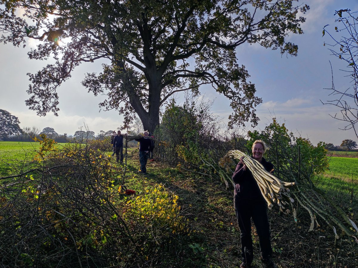 Idle Valley Reserve tweet media