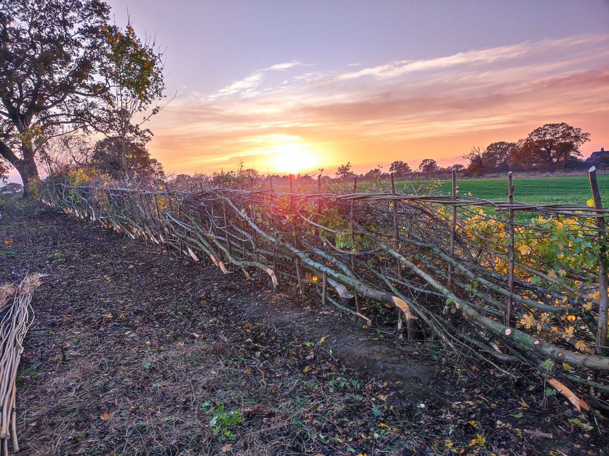 Idle Valley Reserve tweet media