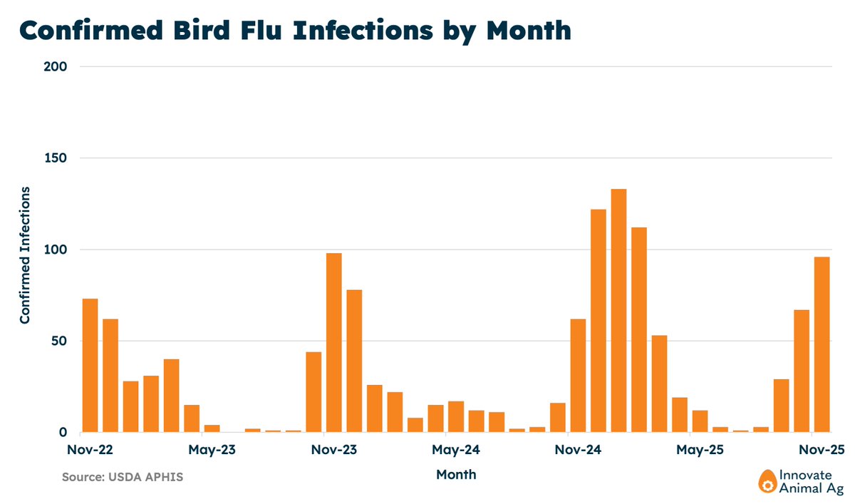 Robert Yaman tweet media