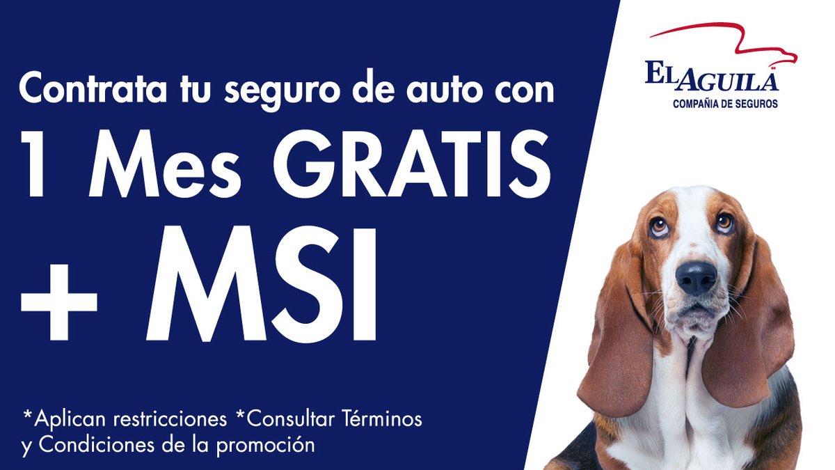 🦅 Contrata tu Seguro de Auto el Aguila con ayuda de Rastreator y llévate 1 mes GRATIS + MSI. 
 Promoción válida del 01 al 13 de diciembre de 2025.Aplican restricciones. 👉👉🚗 rastreator.mx
#SeguroDeAuto #Cotizador #ComparadorDeSeguros