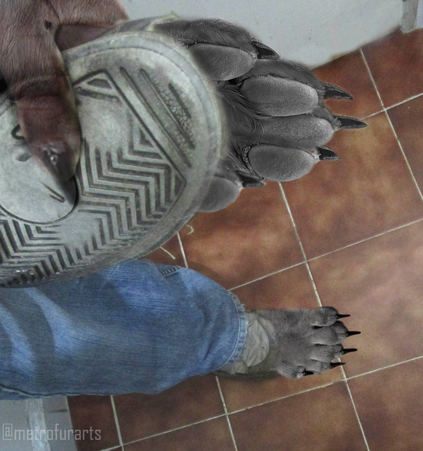 Jake Long tweet media