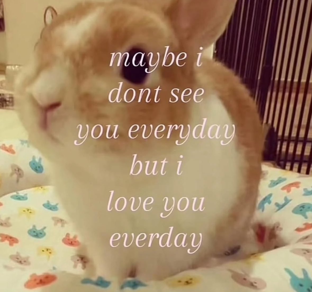 ✧ (@northstardoll) on Twitter photo 