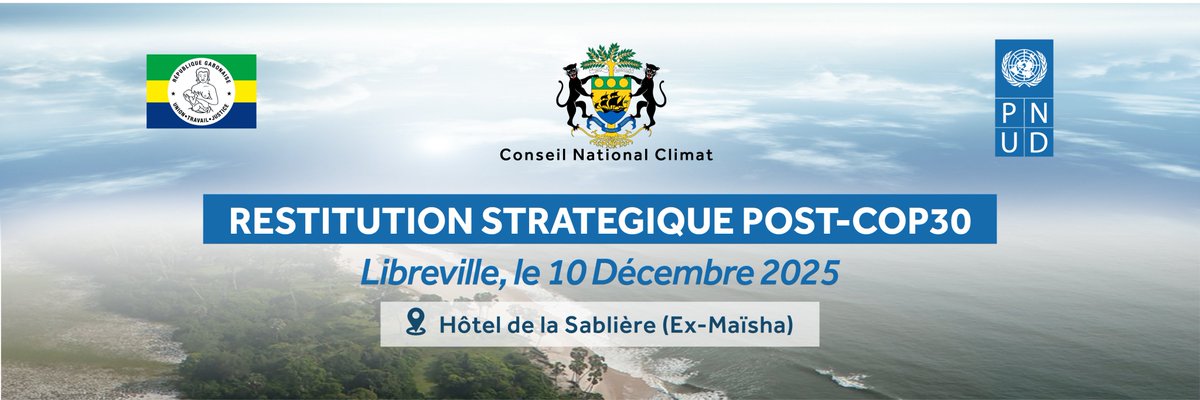 PNUD GABON tweet media