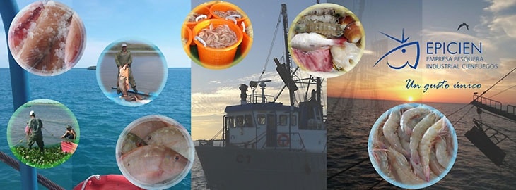pamarillas_'s tweet photo. 🐟La Empresa Pesquera EPICIEN, cliente de #PáginasAmarillasDeEtecsa , se especializa en la captura, procesamiento y comercialización de especies marinas y cultivo de especies acuícolas.
Visite el micrositio 📲https://t.co/OszUqxmmz6 para conocer sus principales productos. https://t.co/95zCPB5Wpg