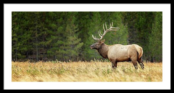 Stookey Photography tweet media