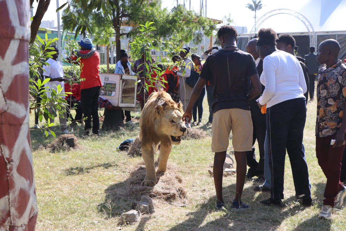 Kenya Wildlife Service tweet media