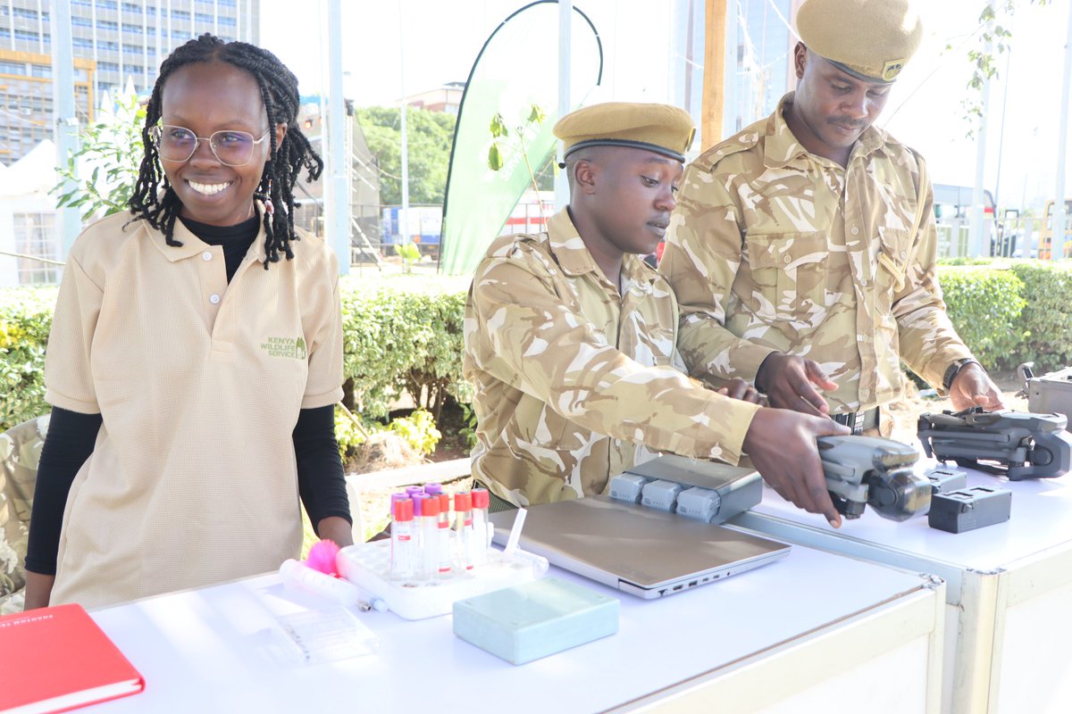 Kenya Wildlife Service tweet media