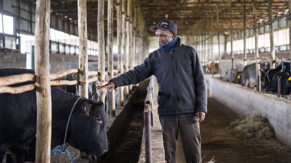 ProjectMercy's tweet image. There’s just a few days left to #DoubleYourImpact by participating in the Jackson Kemper matching grant. You can support our #Health, #Education and #Nutrition programs in rural #Ethiopia and match your gift dollar for dollar by 12/15 at projectmercy.org/donate