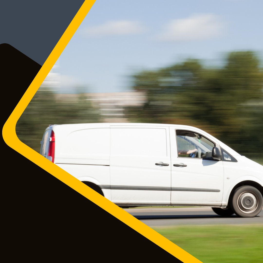 Inglorious Protection Services tweet media