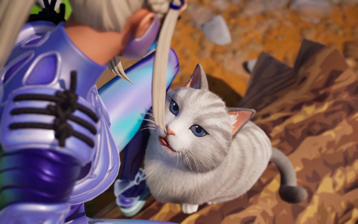 Notto119's tweet photo. My cat😊
 Dabby chan💗
Rest in peace and we will meet again in Fortnite🐈 https://t.co/wIw5UpzHe0