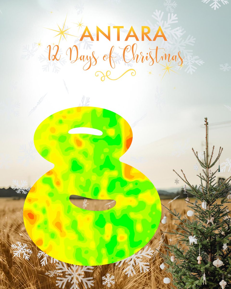 📊 On the 8th day of Christmas…
 Yield maps and lessons learned
Combining is done, but the learning isn’t. Winter is for digging into yield data and figuring out what worked—and what we can improve for next year.
#AntaraAgronomy #Antaras12DaysofChristmas