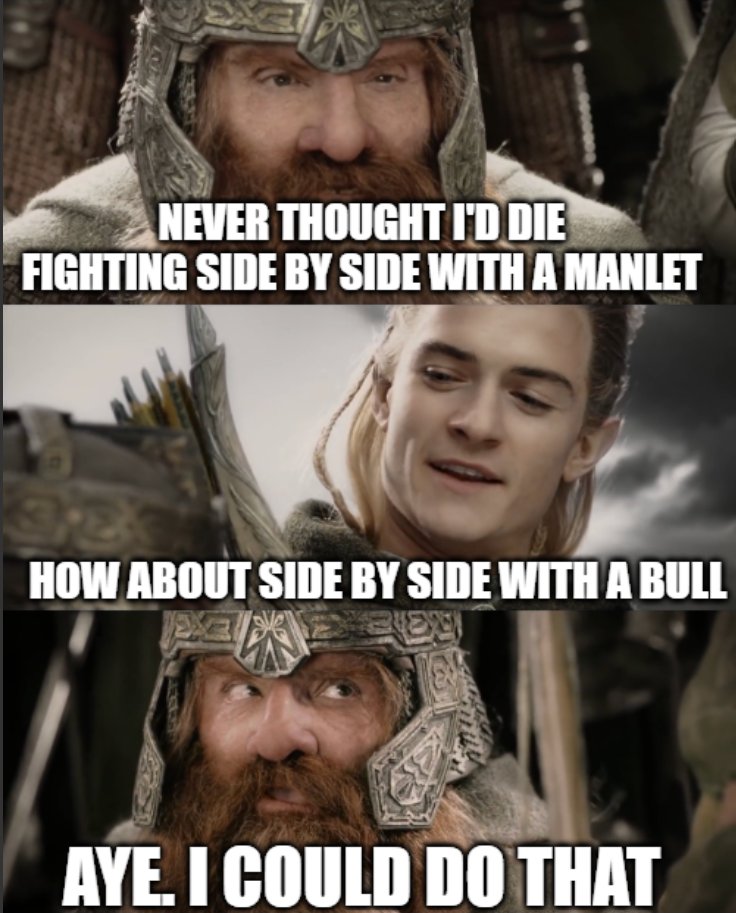 blockgraze's tweet image. gm to ALL bulls