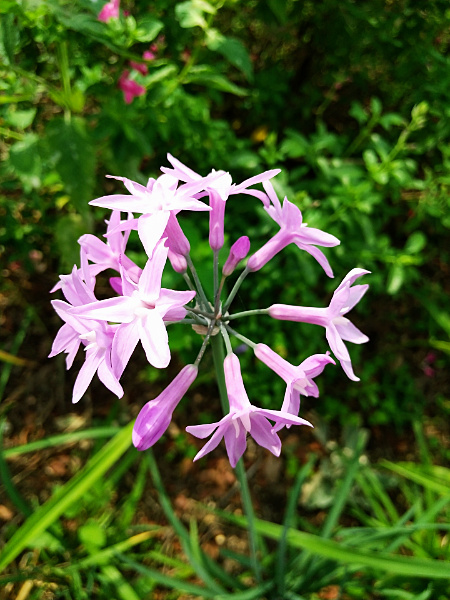 占いサロン順震(原宿当たる占い師5選、ヤフー占い売上No1占い師）12