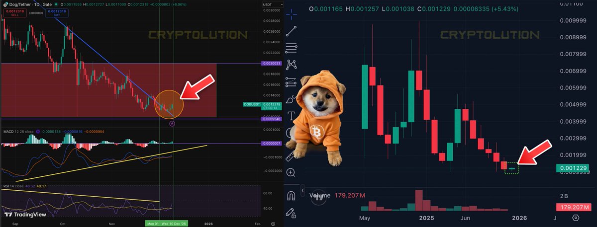 🚨JUST IN: For the first time in 6 months, $DOG has a confirmed breakout (Dec. 6th) from oversold descending triangle pattern.