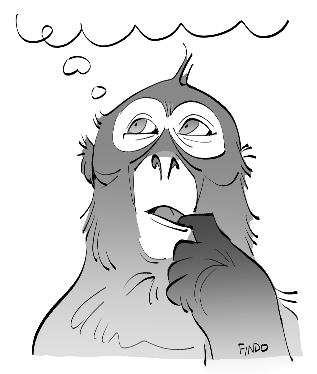 FINDO (@findoland) on Twitter photo 