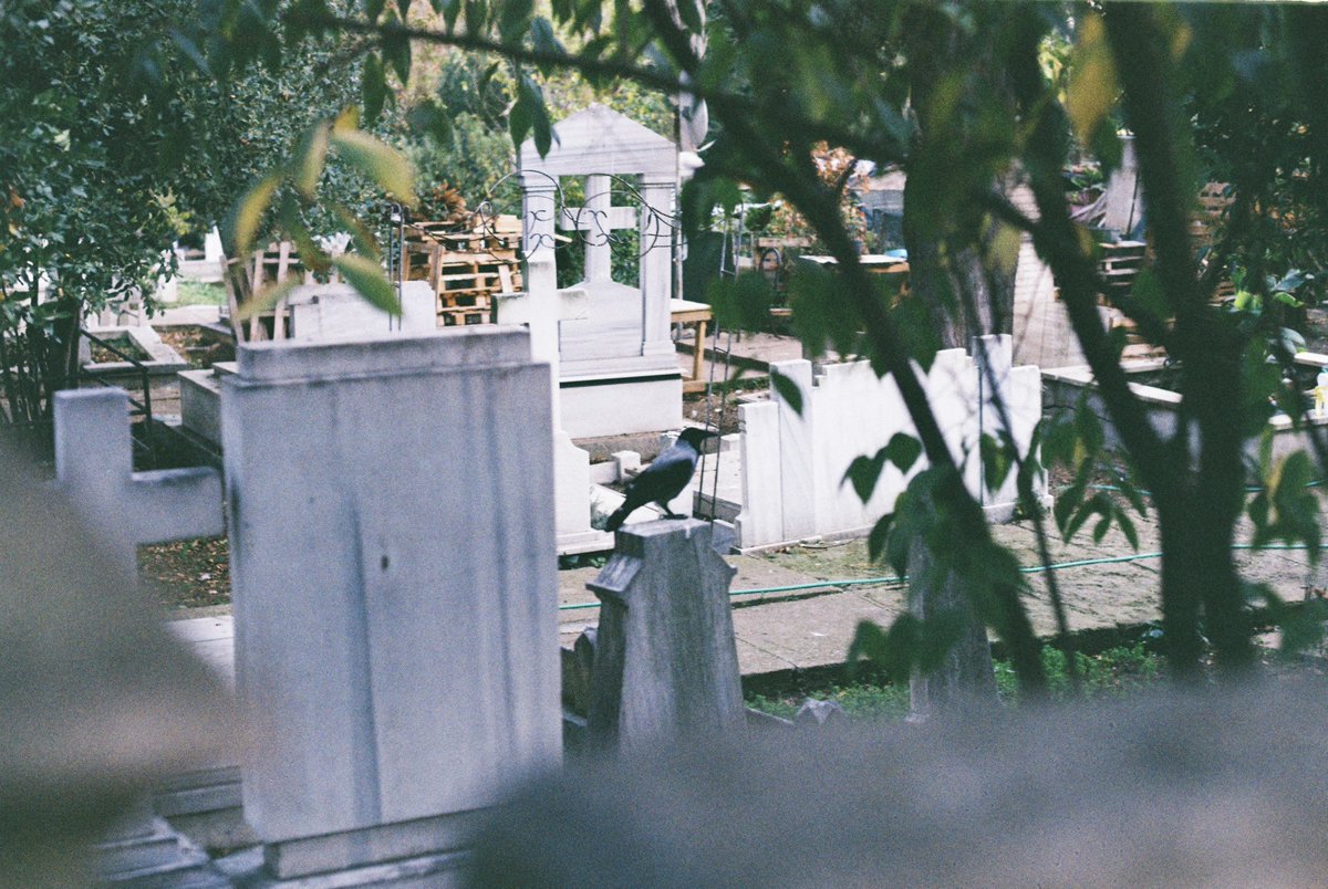 gidenler / bekleyenler. 🐦
#35mm