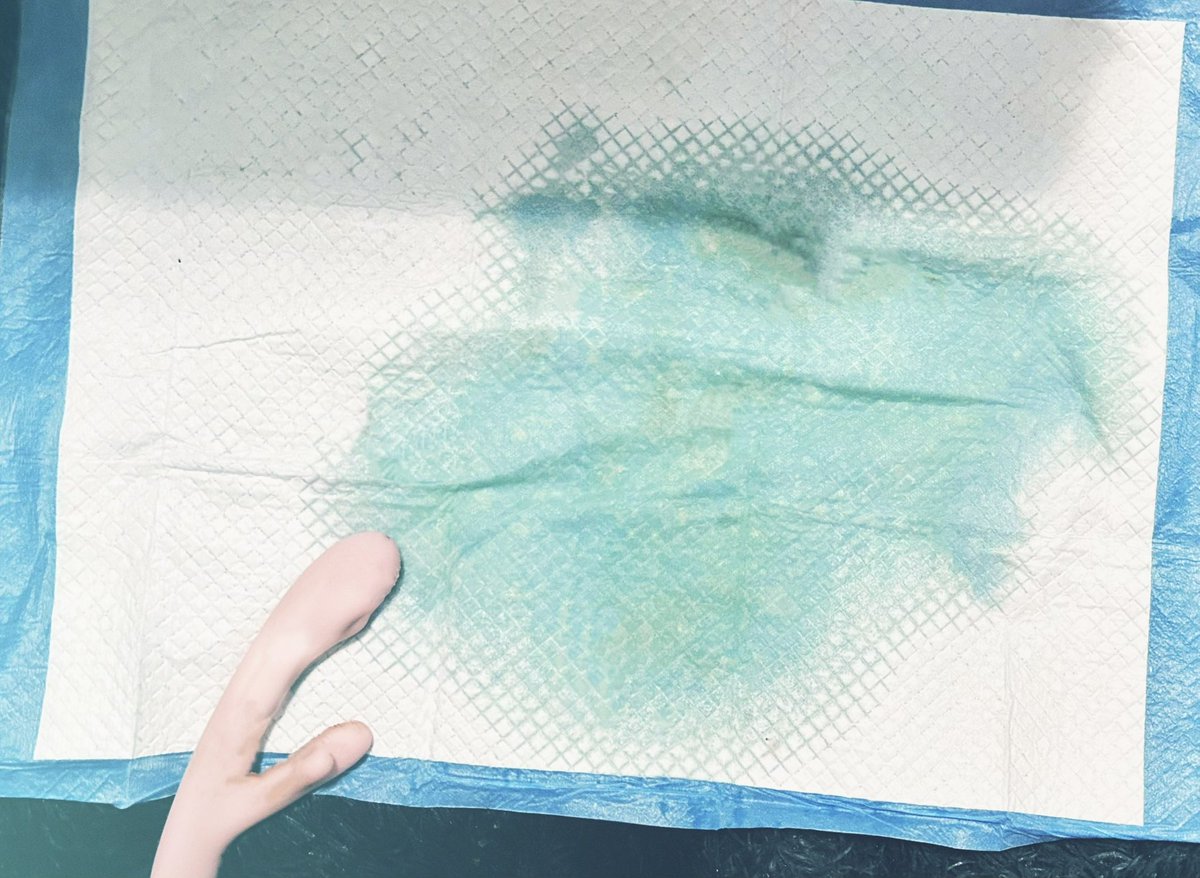 ♡⃛₊⁺˖158˖⁺₊♡⃛ tweet media