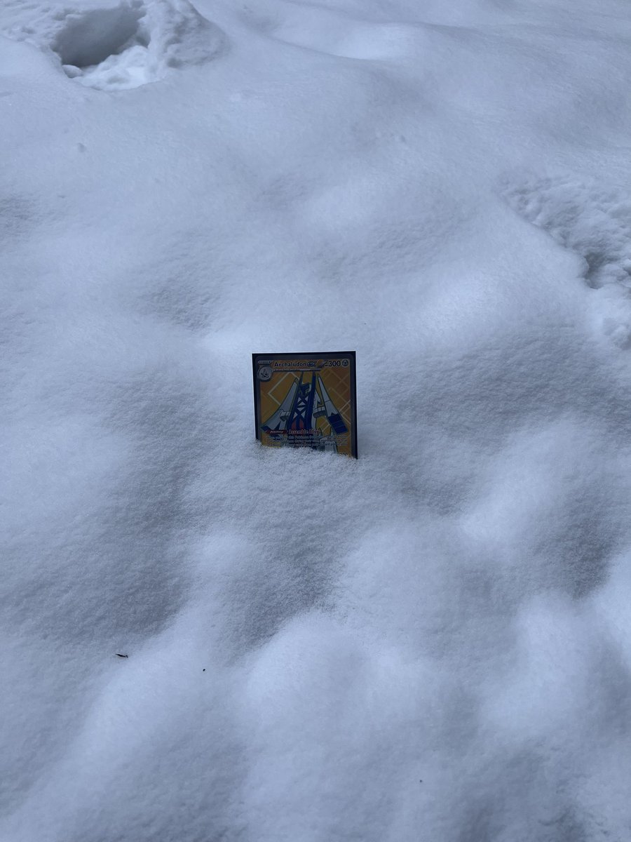 assemblealloy's tweet photo. "get a job!" nah, I'm assembling my alloy in the snow https://t.co/6UJsGjpxeO
