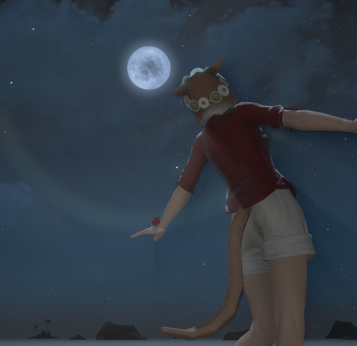 cephalorem's tweet photo. The moon! https://t.co/lCabduOGU9