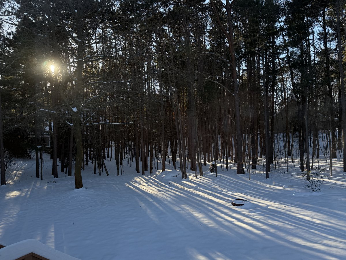 WOODTV's tweet image. Another system will bring rain and snow overnight into tomorrow. Storm Team 8 has what you to know: woodtv.com/weather/weathe… 

Photos: 
Snow on branch in Grand Rapids - Andrea Martin
Snowy woods in Grand Haven - Patty Redeker
Sun halo over Gun Lake - Heather Iverson

#wmiwx