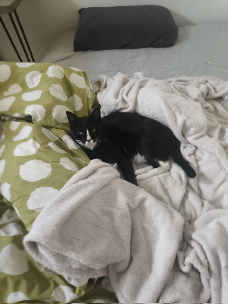 נמאס לי ללמוד מטריצות להיום