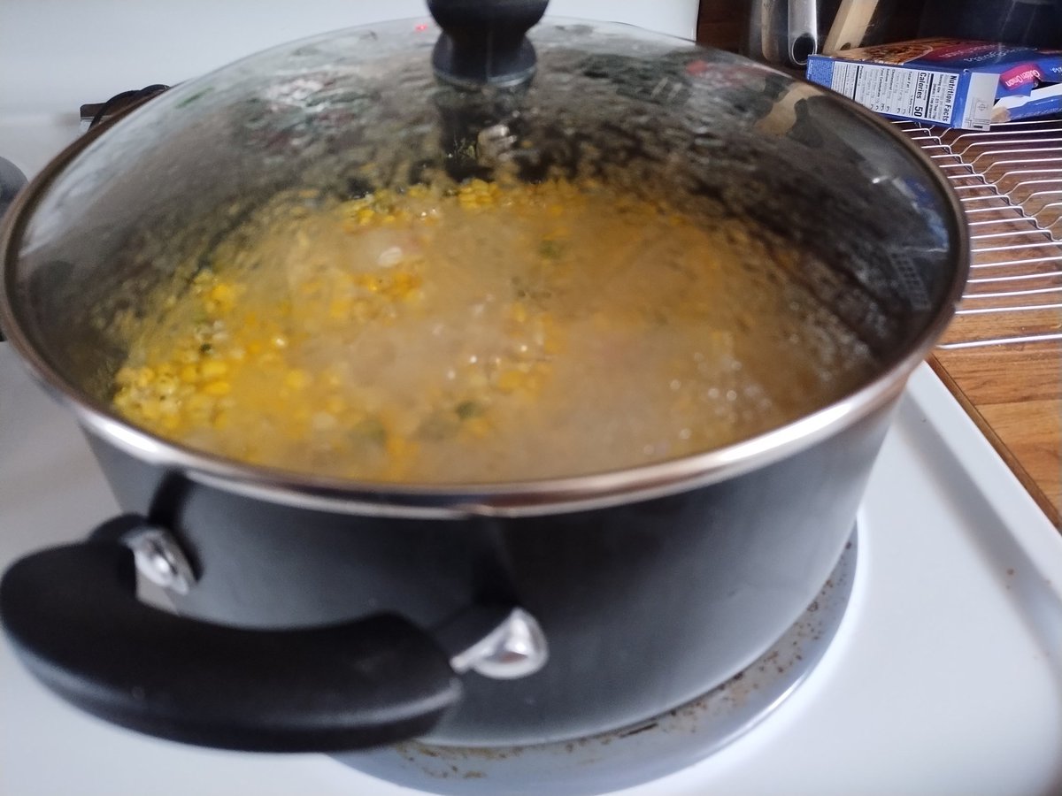 Homemade Chicken Vegetable soup in the works. Just sounded good today!