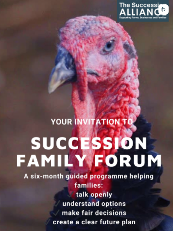 Andy Guy Consulting tweet media