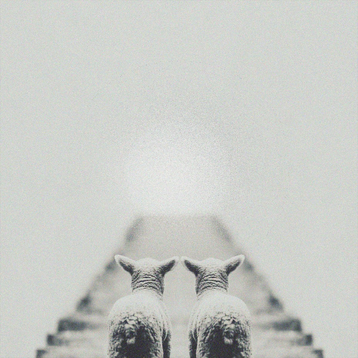 uve_key's tweet image. Camino al cielo, último adelanto de #LPDLS  con mi @notekedanaab 
Mañana por la noche
🤲❤️