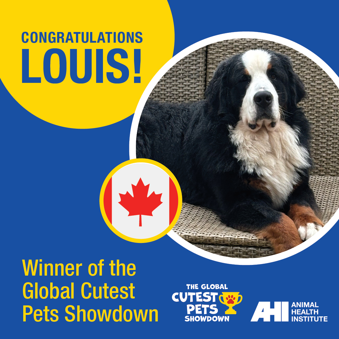 AnimalsHealthy tweet media