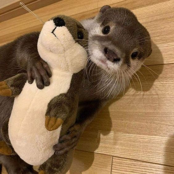 XarAndLance's tweet photo. me btw if anyone even cares https://t.co/8kf8ELChL0