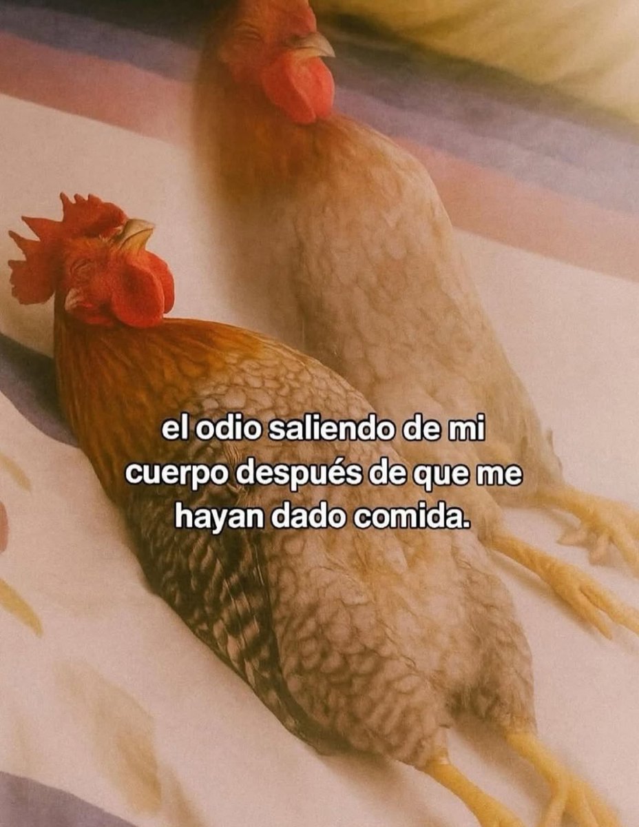 Frases Barbie (@barbie_context) on Twitter photo 