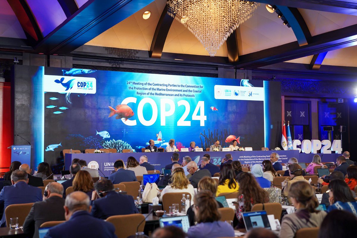 EUinEgypt's tweet image. At #COP24 in Cairo, participating countries, including EU Member States, committed to continuing their work together to protect and preserve the Mediterranean Sea.