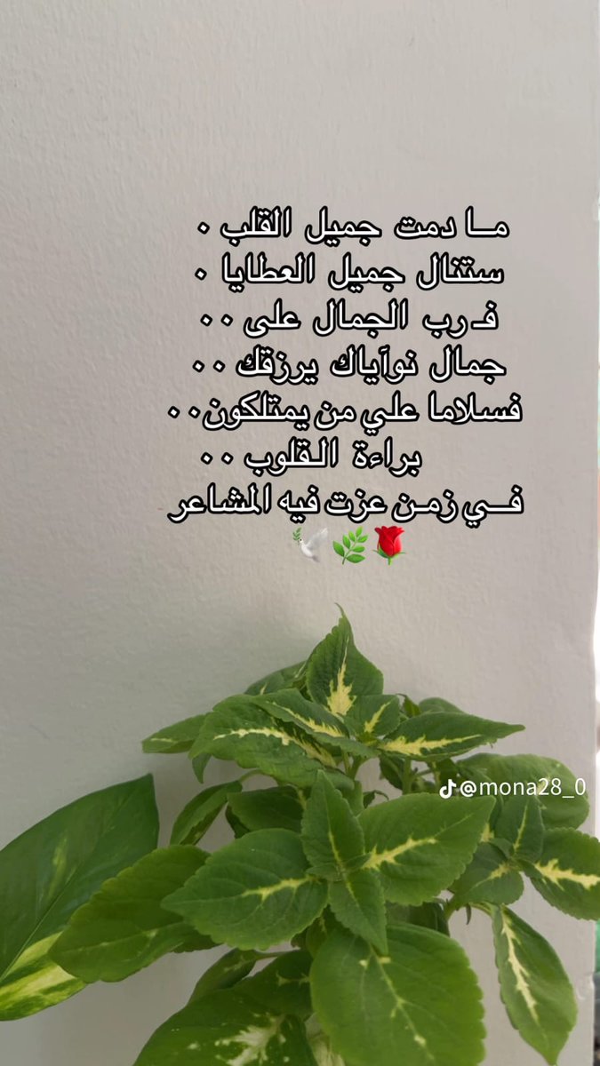 💞هند 💞 (@hending1988) on Twitter photo 