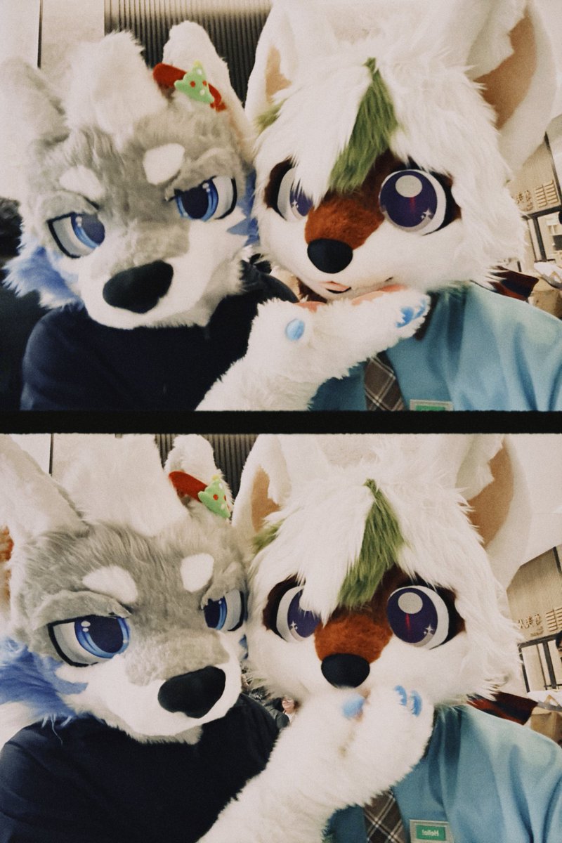 史诗级的小狗会晤

🐶
<a href="/MatchaDoggy/">彬彬</a>