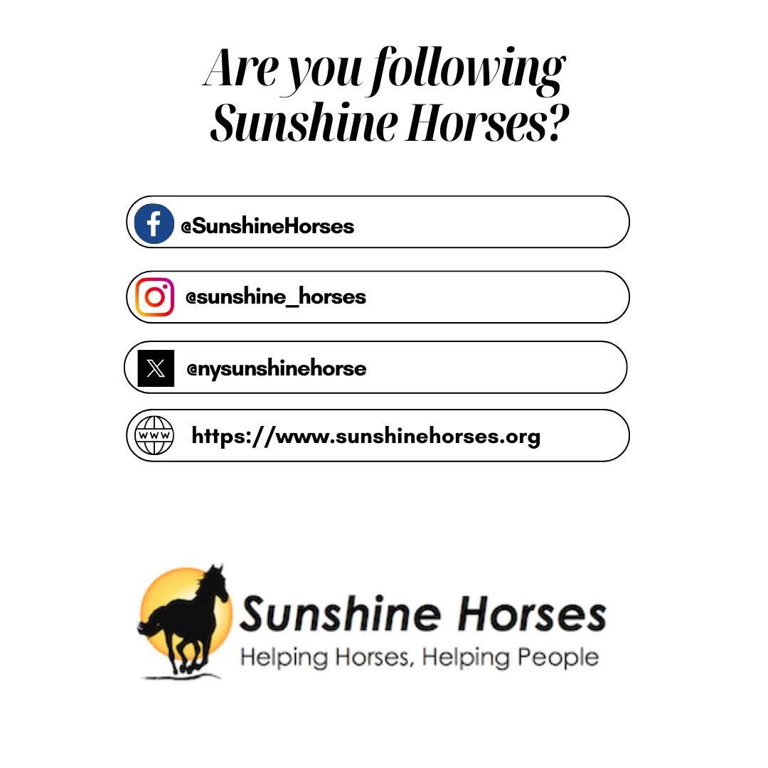 Standardbred Transition Alliance tweet media