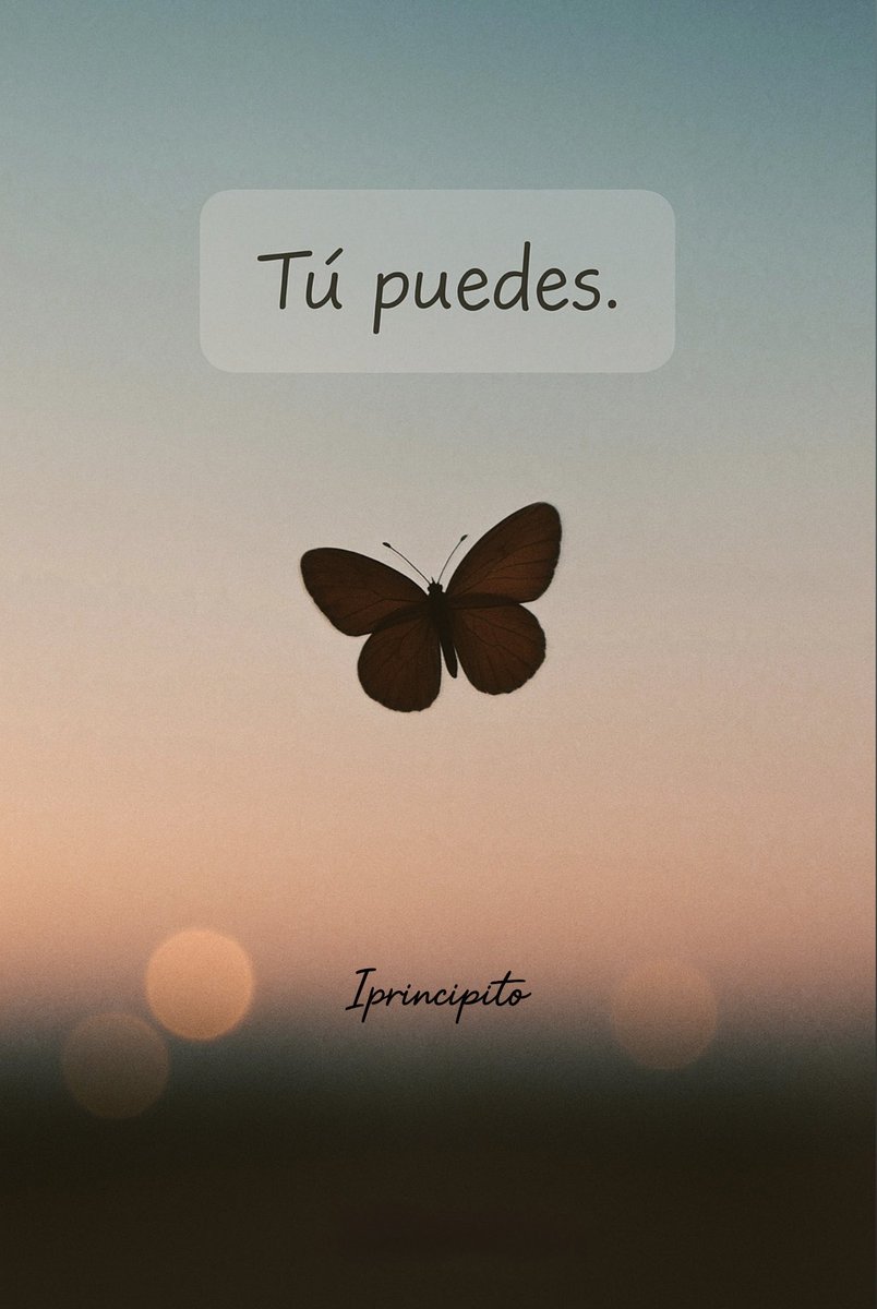 iPrincipito's tweet photo. 📩✨ https://t.co/2lOEfL1qHc