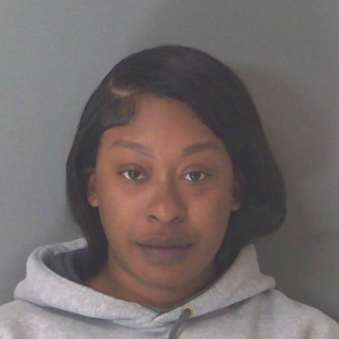 Everything Georgia tweet media