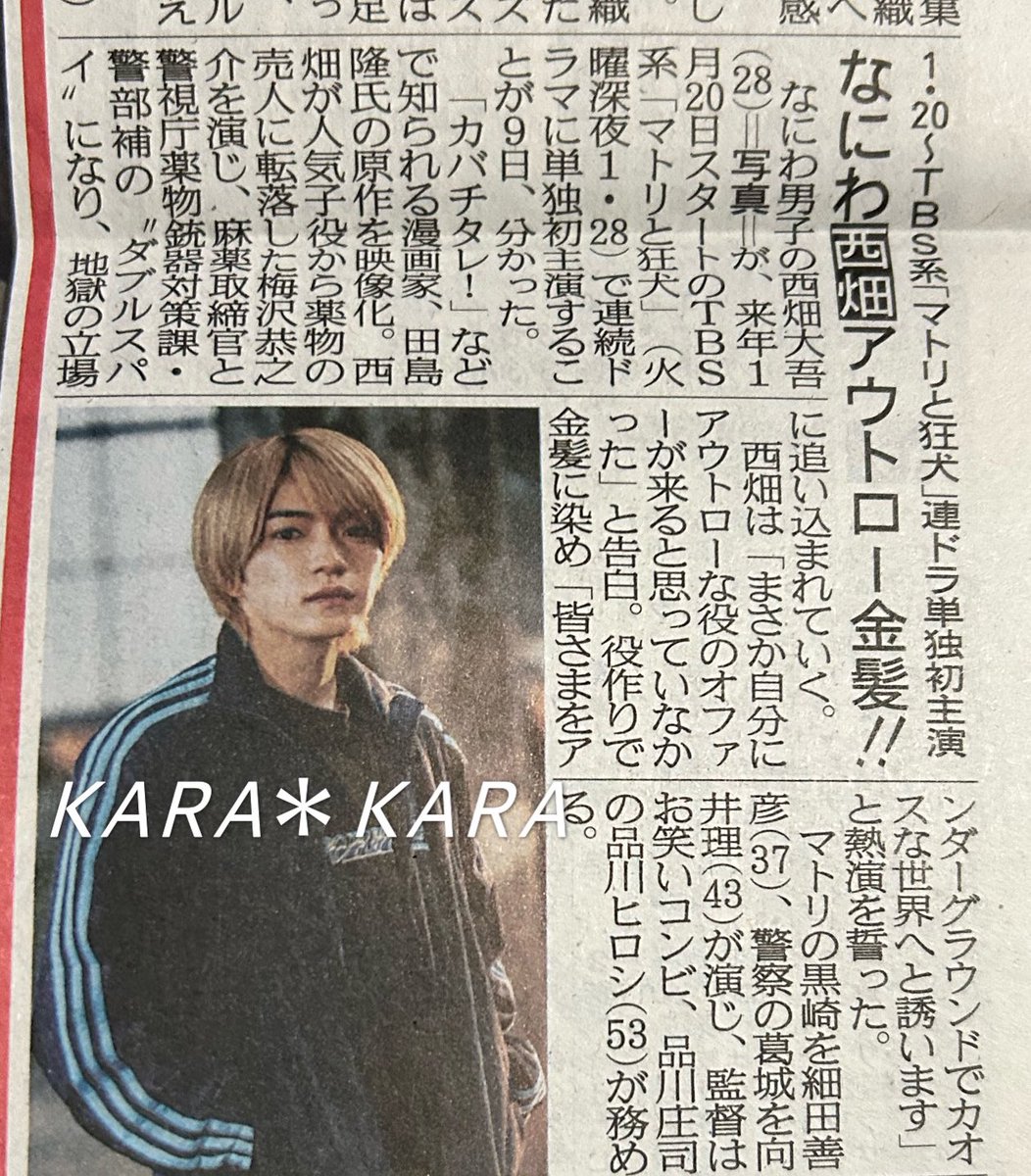 マトリと狂犬 原作 全巻 セット 西畑大吾 マトリと狂犬 1〜5巻 西畑