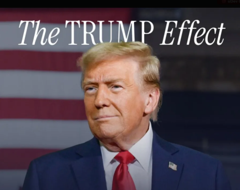 gh0stonsol's tweet photo. whitehouse keeps tweeting The Trump Effect and we haven't had a runner for it yet?

https://t.co/UlEyRBuuSB https://t.co/EgaR30O8Ie