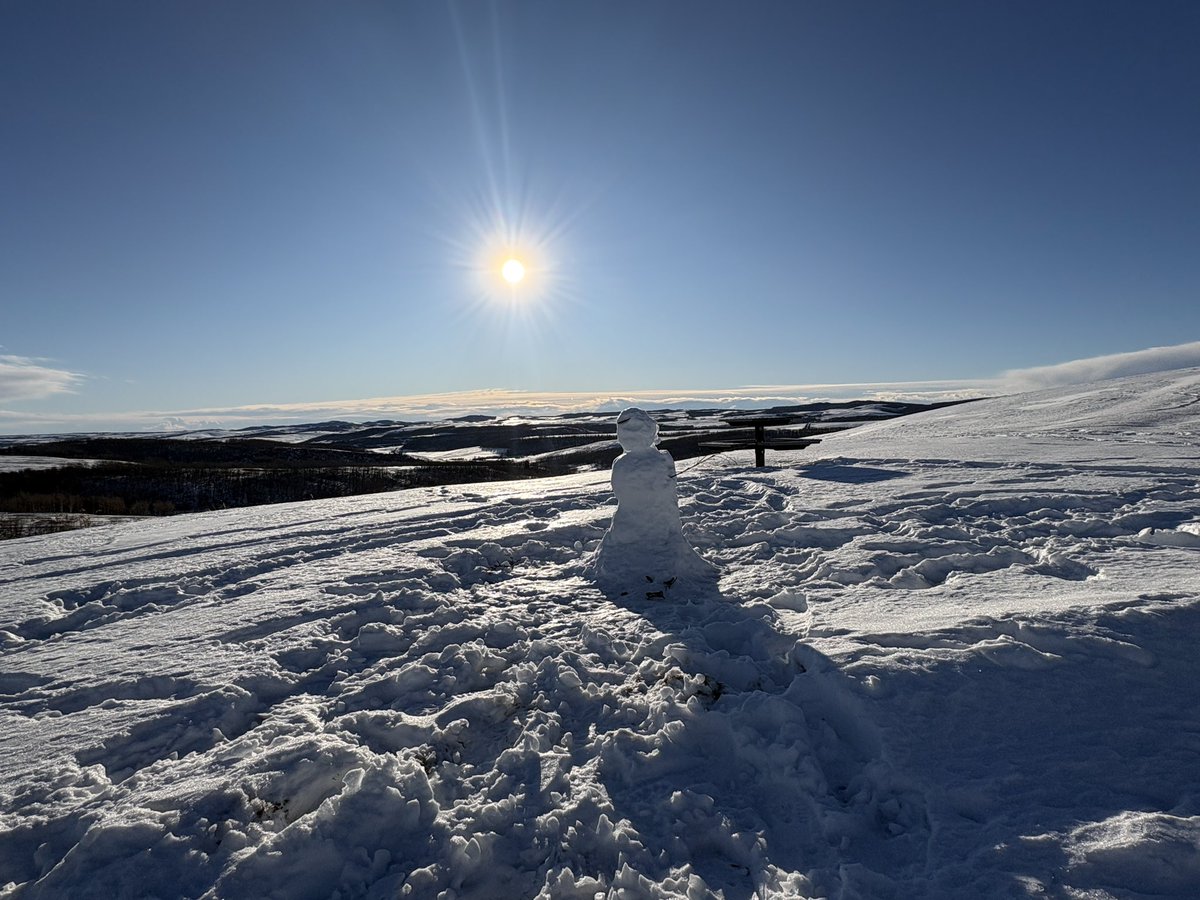 Ann & Sandy Cross Conservation Area tweet media