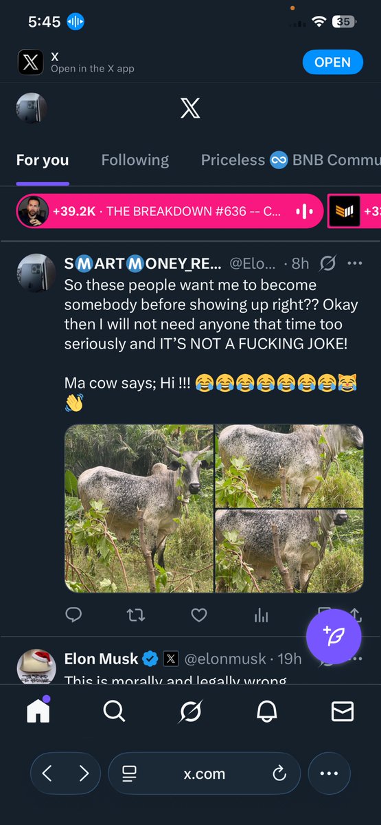 WE ARE BROKE SO STILL ACCEPTING <a href="/solana/">Solana</a> MY KINGS AND QUEENS!  🫅 …. Well me and my cow are still BULLISH THOUGH 😂😂😂😂😂😹

FNLHWfSMBRt1QBvUZg5tj2p4wJVTC7dndVqRBmKXA7Lg