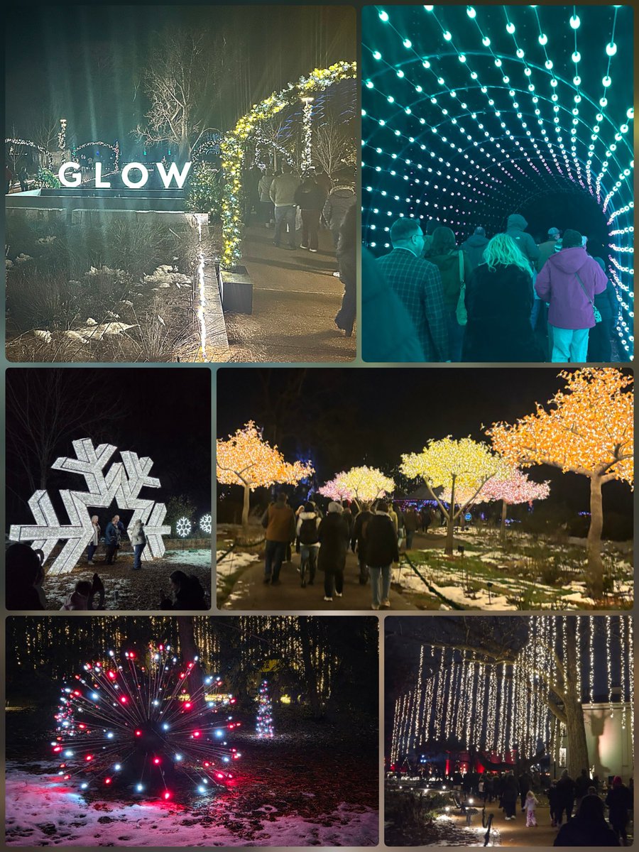 ILNECA's tweet photo. We hope that everyone had a great time at our 80th Annual Winter Meeting! This year, the Chapter ventured to the Missouri Botanical Gardens for their Garden Glow event with over two million lights! Thank you to everyone who helped make this event one to remember! #WeAreNECA https://t.co/0hzFRhioKw