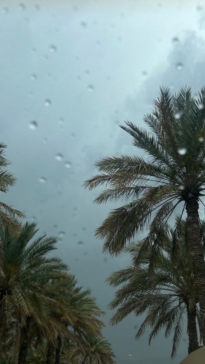 جـَـوى tweet media