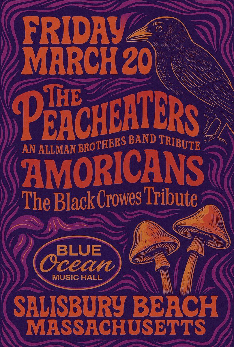 amoricansband's tweet image. 