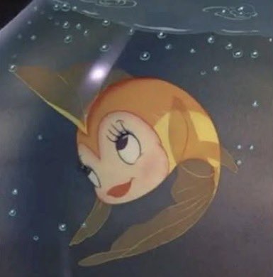 Yemek yemeden önce     / yemek yedikten sonra