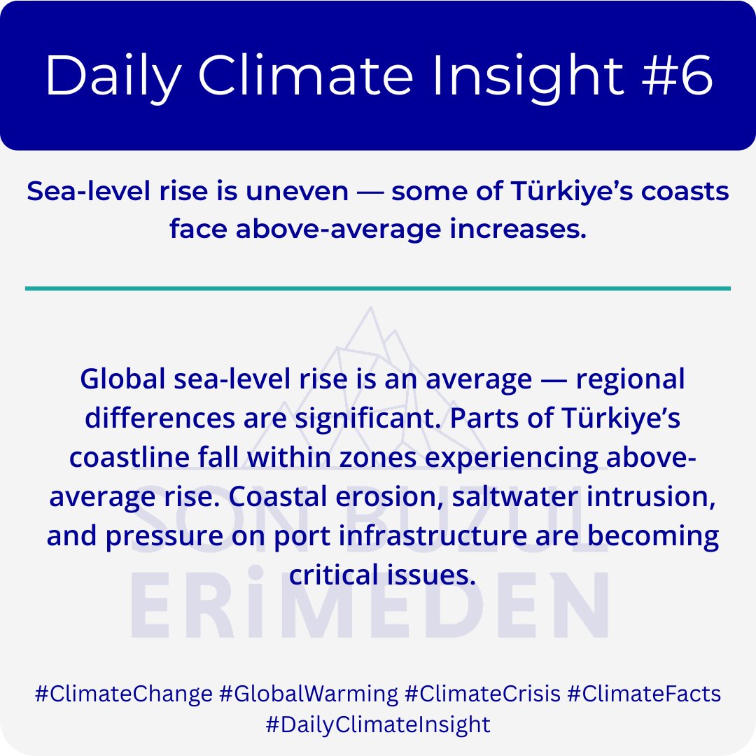 Levent Kurnaz tweet media