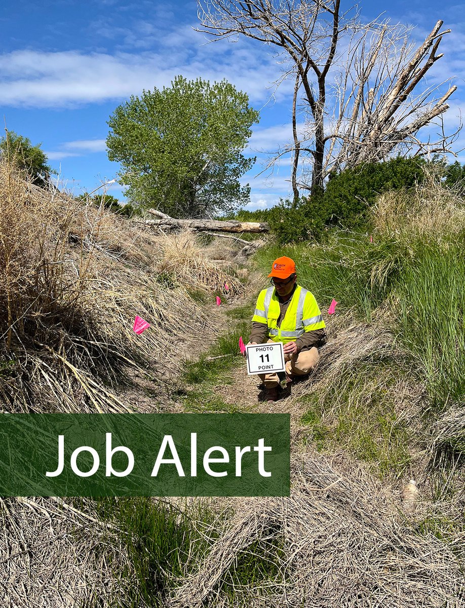 Looking for a new job for the new year? 👀

You’re in luck. The NDOT Stormwater Program has an opening.

👷 An associate engineer on our permitting team

Apply at: dot.nv.gov/jobs ➡️ Click: “Nevada State Job Openings” ➡️ Search: Staff 2, Associate Engineer [Recr #: 52740]