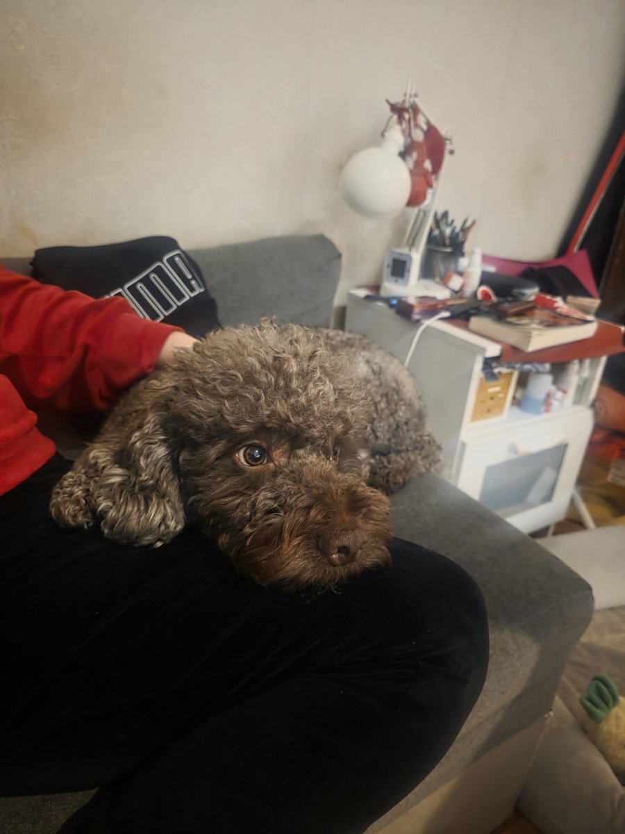 besnipaja's tweet photo. Ovaj momak traži devojku
Nemamo papire, ali smo bas bas lepi 🥰 https://t.co/r0Nxg6jdLB