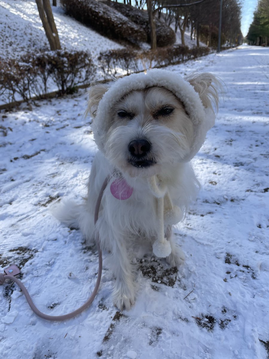 모자써서 기분안좋은건 알겠는데 표정좀풀어